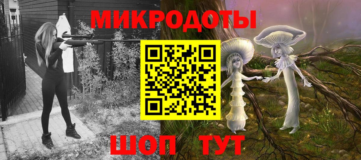 Псилоцибиновые грибы Psilocybe Астрахань