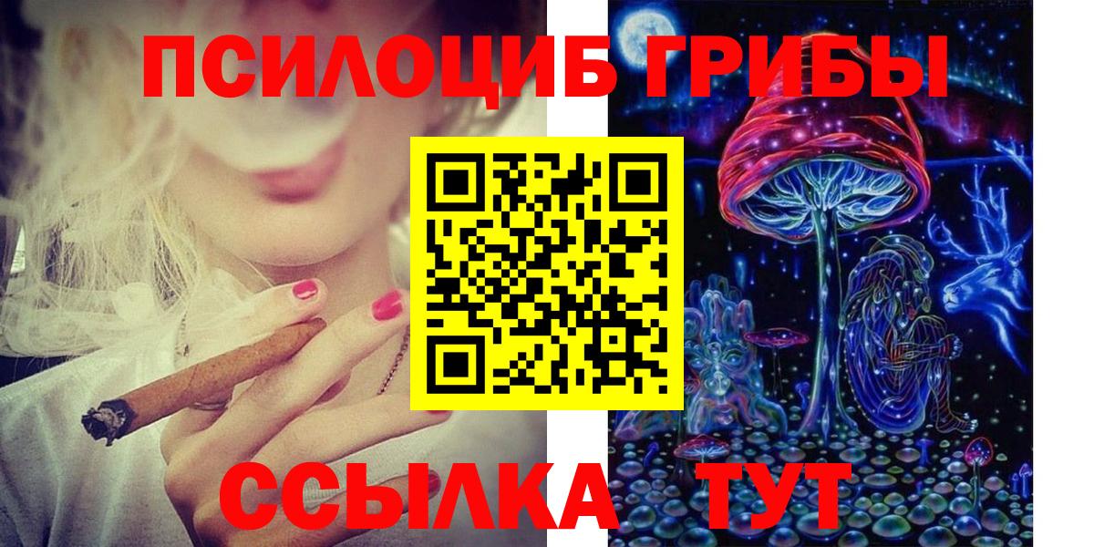 Галлюциногенные грибы Psilocybine cubensis  Вход с VPN  Астрахань 