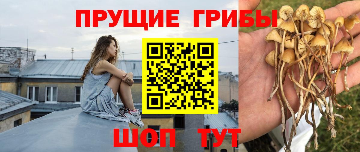 Астрахань  ГАШ  Кодеин  Канабис  Вход с VPN  МЕФ  Марихуана  МЕФ  