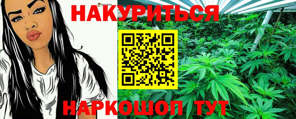 Бошки Шишки ГИДРОПОН  Конопля Amnesia  Астрахань  Вход с VPN  Бошки марихуана Bruce Banner 